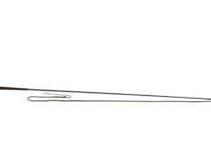 Longerpískur, 180 cm